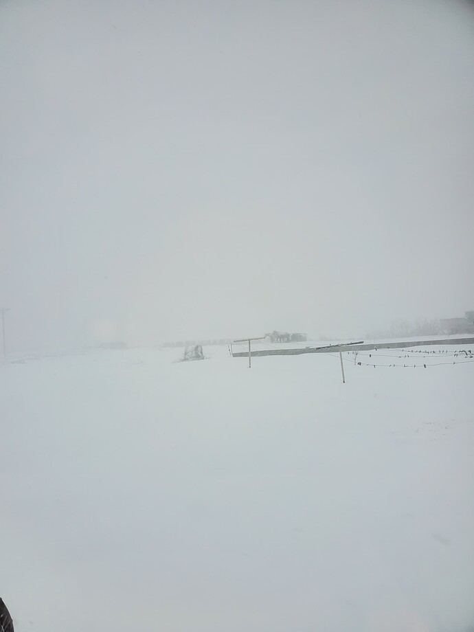 20250105_091638