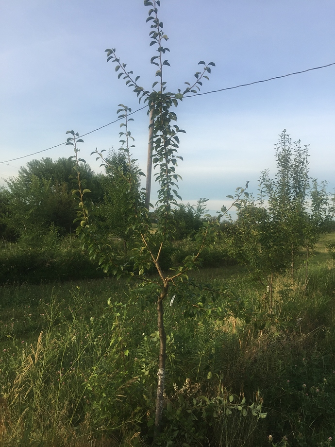 91FE8A37-E181-4C3E-90D8-EAB7575E965D