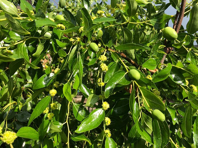 Sherwood_w_08-09-2022