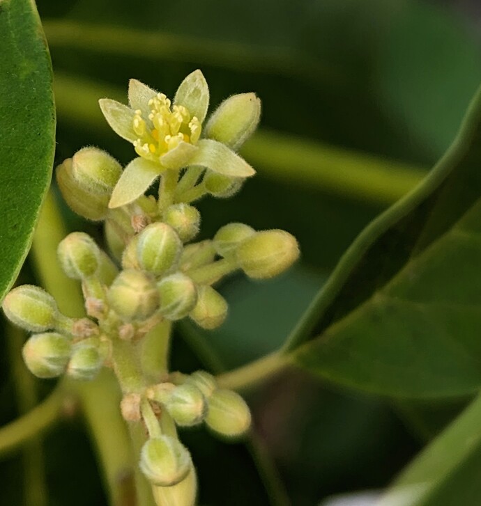 PXL_20240327_191349852