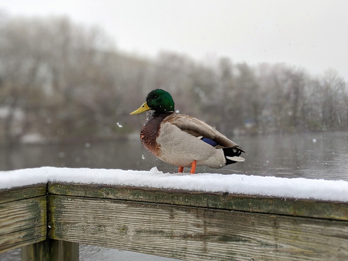 00100lrPORTRAIT_00100_BURST20200418085418916_COVER