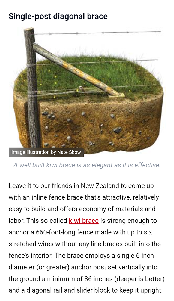 Kiwi Brace