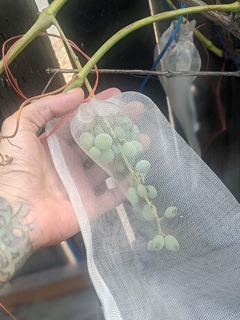 PXL_20220823_225014789.PORTRAIT