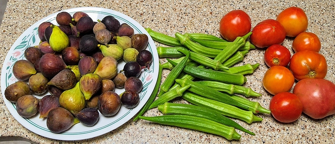 Harvest%2008-29-2020