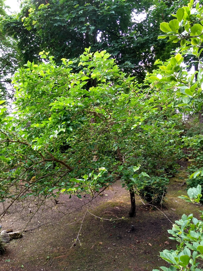 IMG_20200702_140241669_HDR