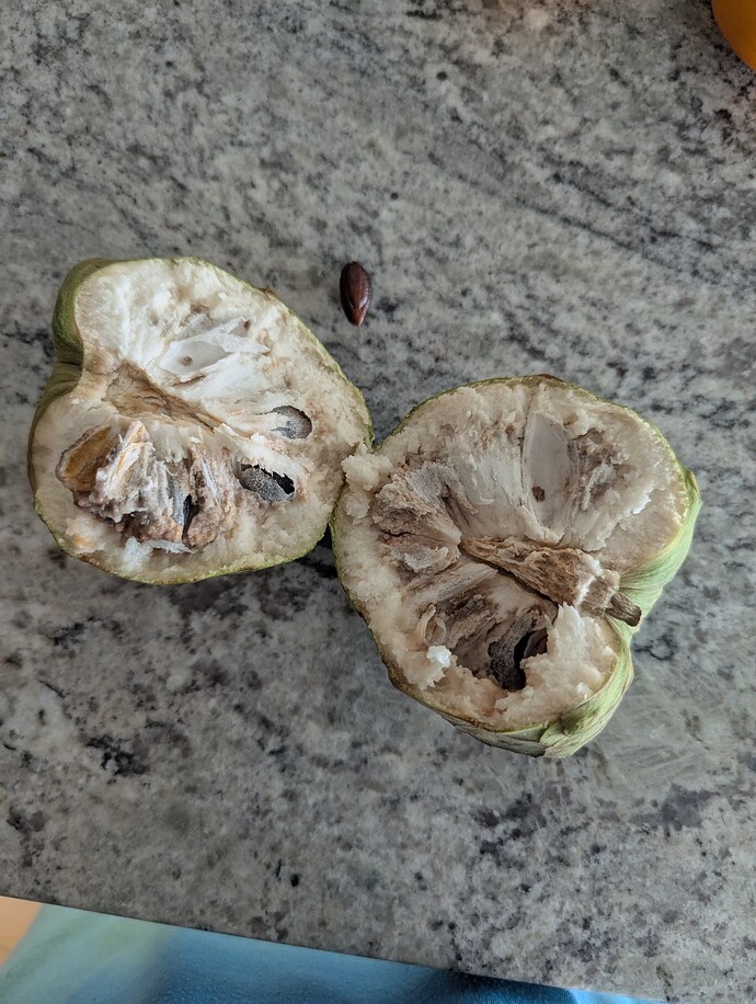 PXL_20250522_222212775