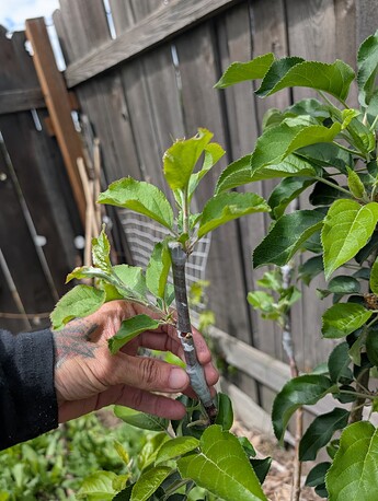 PXL_20250515_201302145