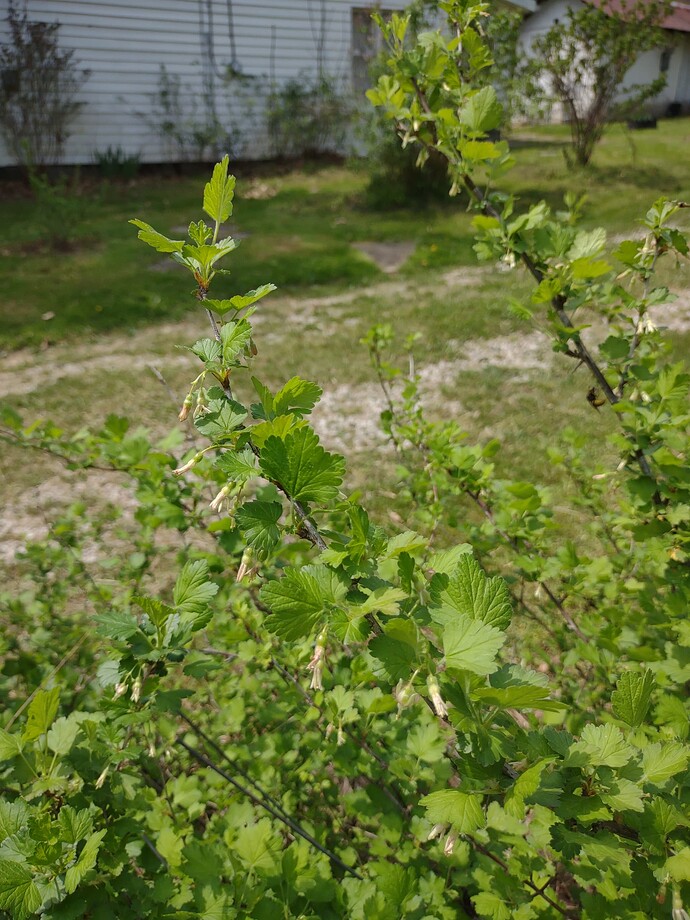 IMG_20250420_124734159