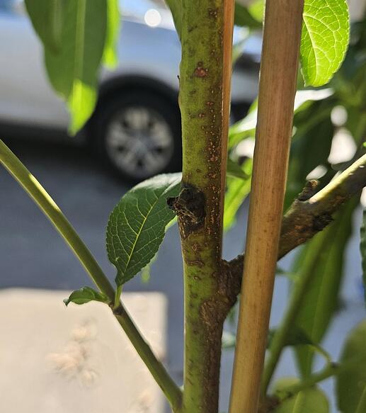 20240514 isitcanker2