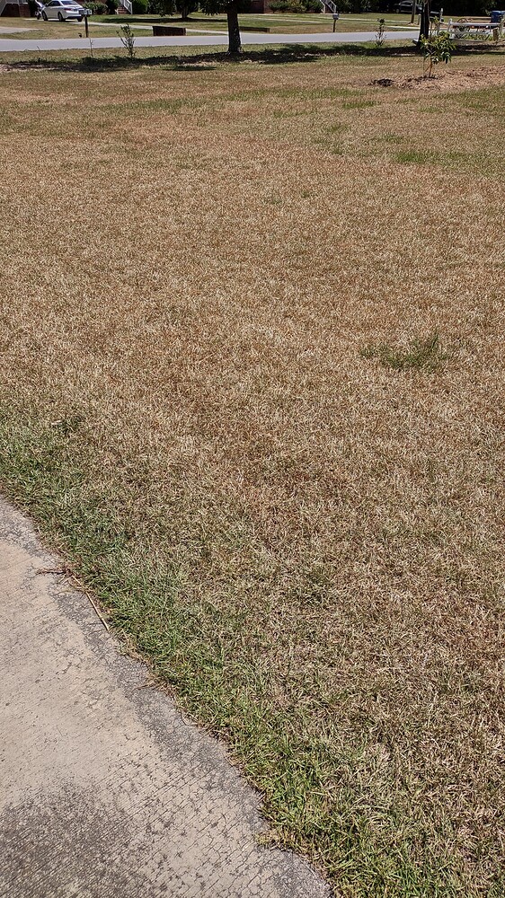 IMG_20240620_144722953_HDR