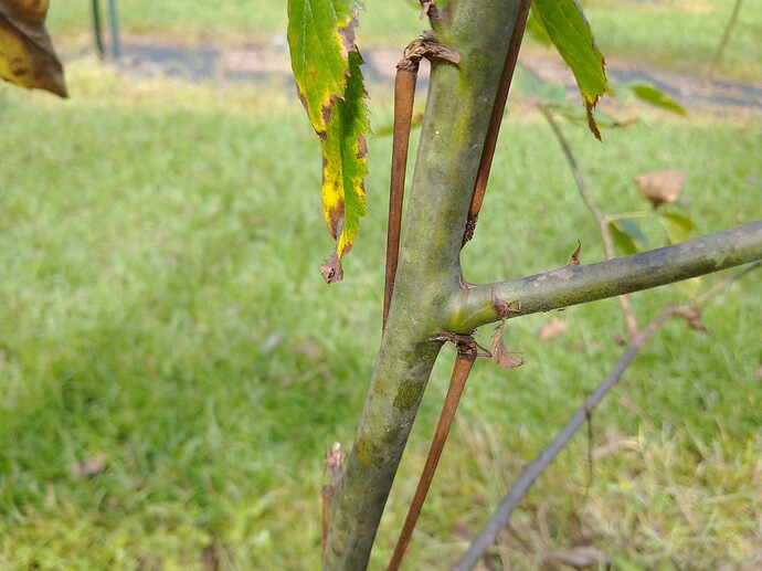 IMG_20220904_111127003