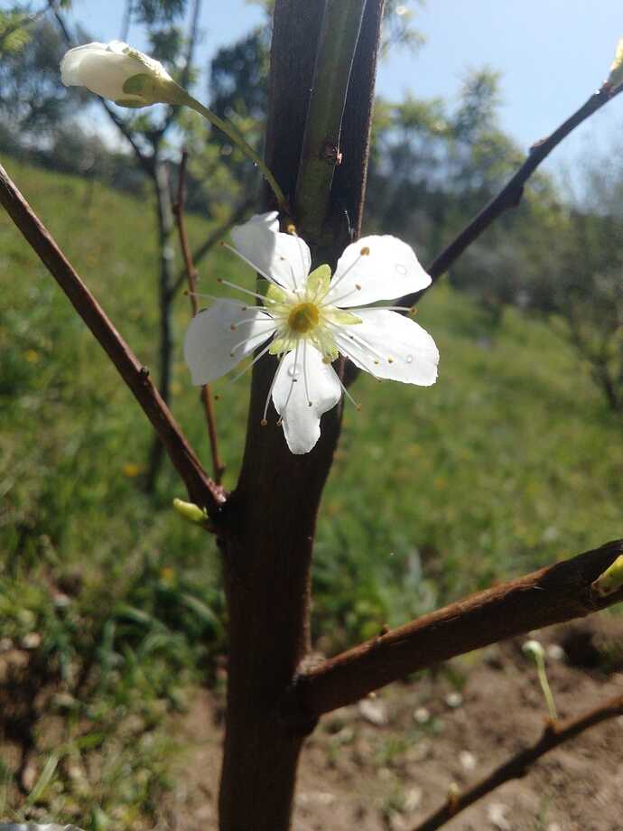 Imagem WhatsApp 2023-03-27 às 13.36.31