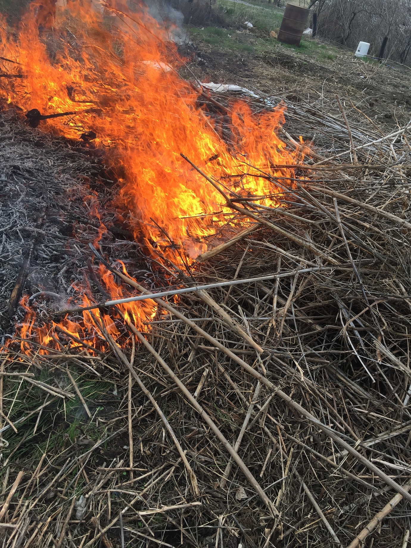 Fire How to eliminate Weed seeds & harmful insect eggs General