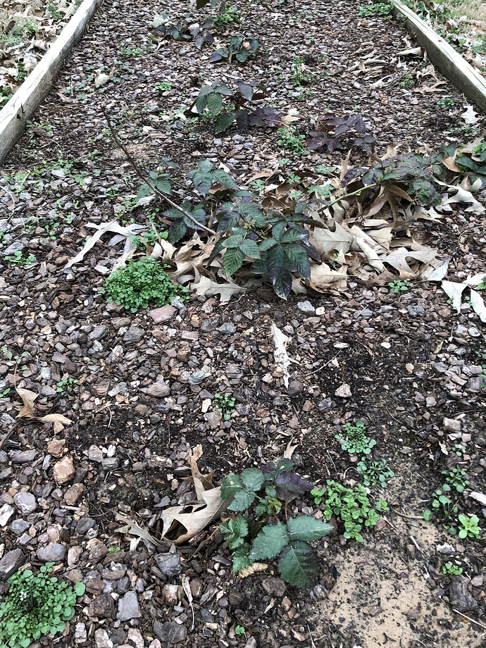 2FBD8F2A-0509-4730-8FBA-5AC77C8112DC