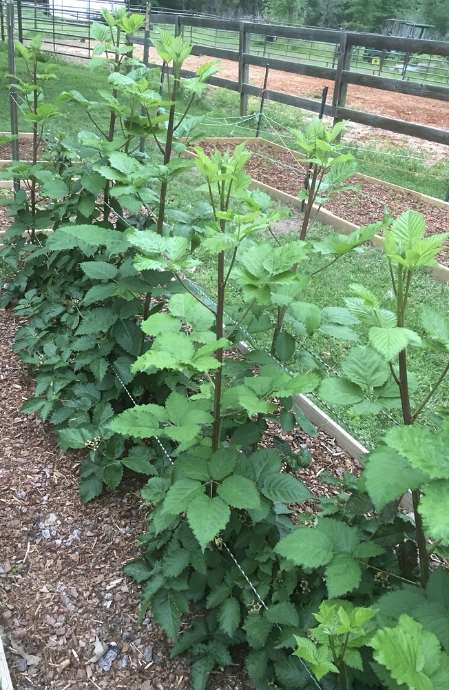 4FBDC8DD-D95A-4499-B325-4C95410E1DB8