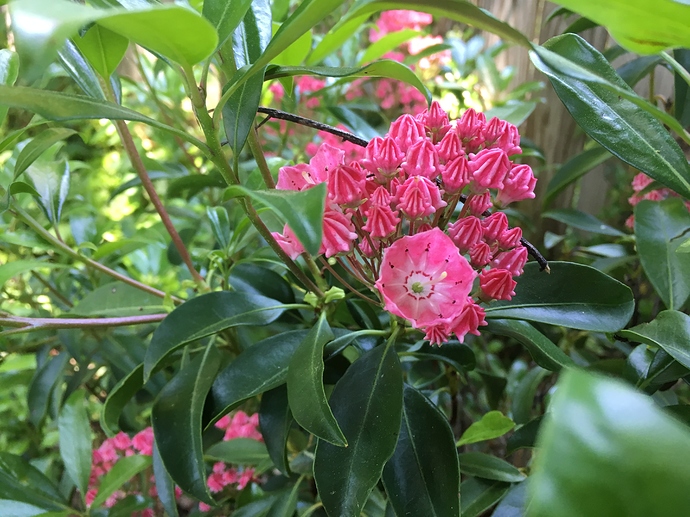 40D6520A-2C7E-4216-92E6-34A654B2C471