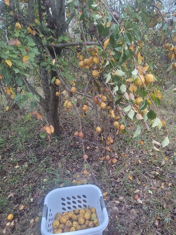 20231029_182221
