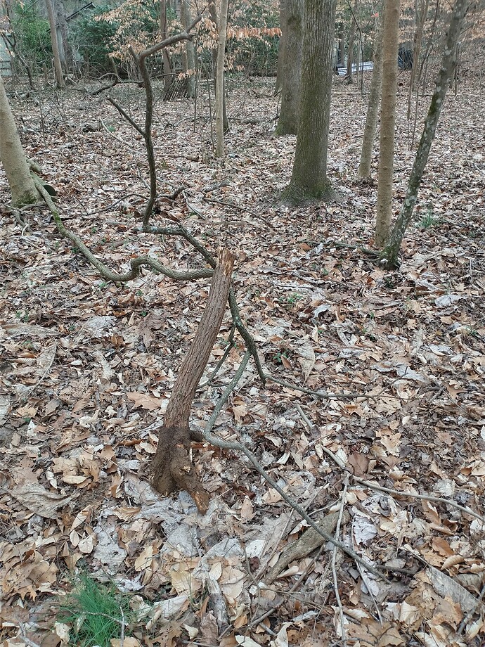 IMG_20240228_102819650_HDR