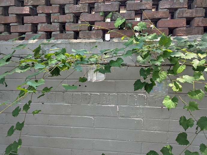 PXL_20250601_180807949