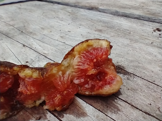 IMG_20200910_103621823