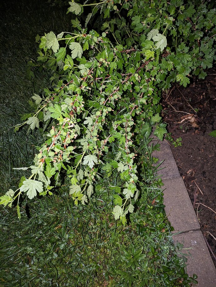 PXL_20240506_003148775