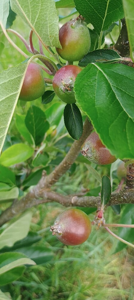 IMG_20250528_105729190