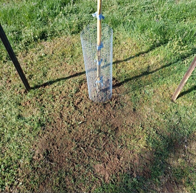 Screenshot_20250408_162732_Gallery