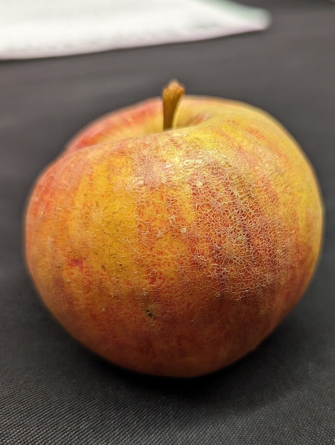 Chestnut Crab Fruit 2