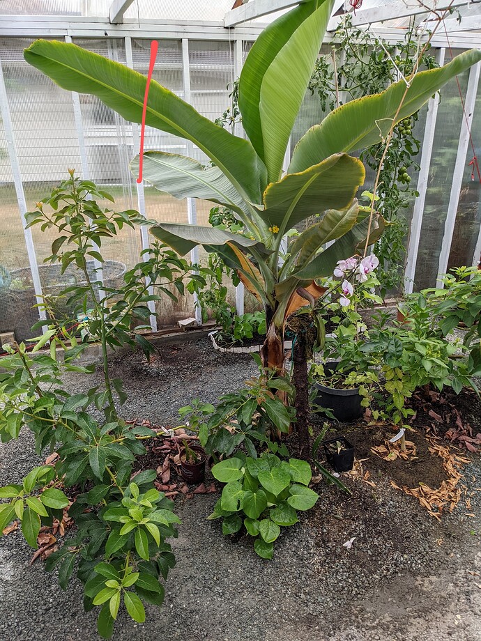 PXL_20220821_163641807~2