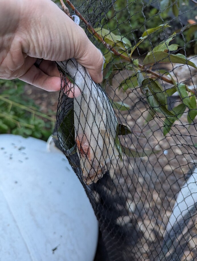 PXL_20250507_000009992