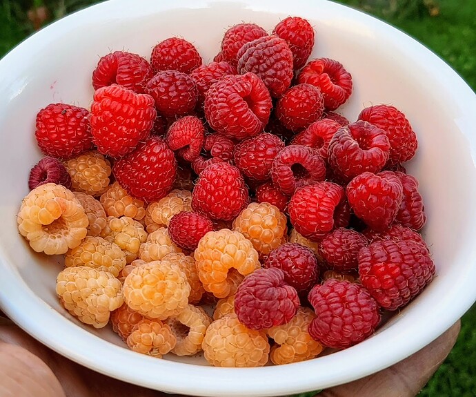 Ann , Caroline , Joan J