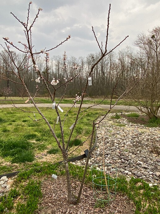 C1E6B31A-21C0-4F26-AA34-E2B76A703F80