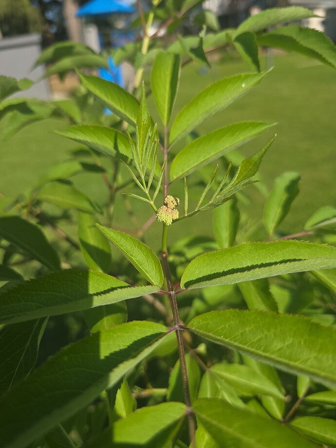 cccfacaa-2770-4082-ab35-34b69993c536