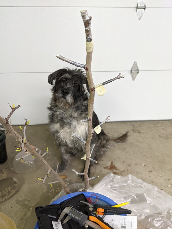 PXL_20210511_005352928