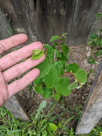 PXL_20220618_231453002