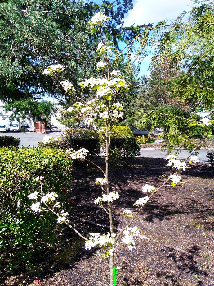 IMG_20190415_112926655_HDR