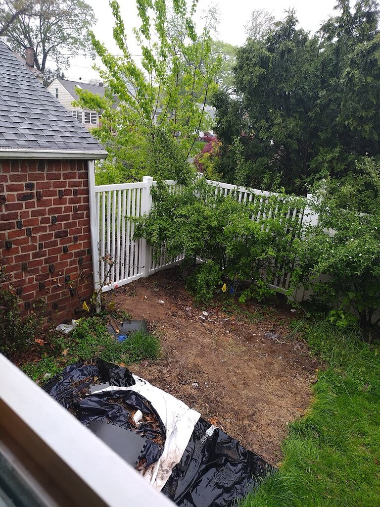 Arbor safe fruit General Fruit Growing Growing Fruit