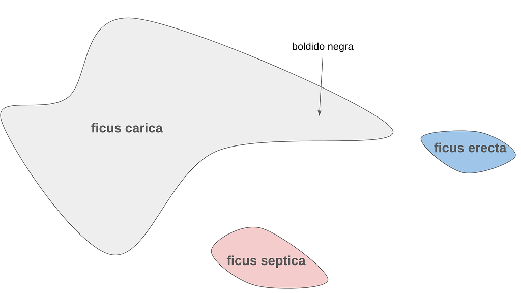 Fig species crosses and intergrafts General Fruit Growing Growing Fruit