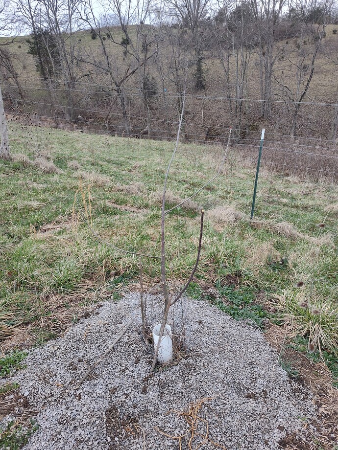 IMG_20250320_084156112_HDR