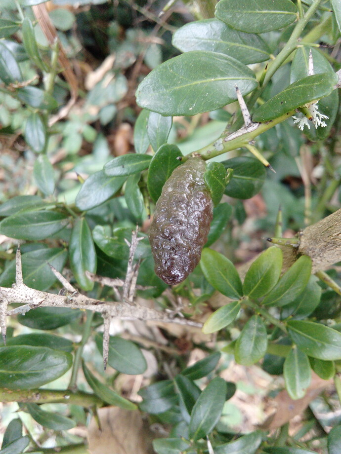 IMG_20220620_151455_1