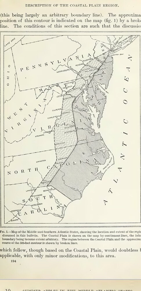 Screenshot_20231231-095634_Adobe Acrobat