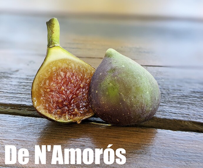 De N'Amorós_2024