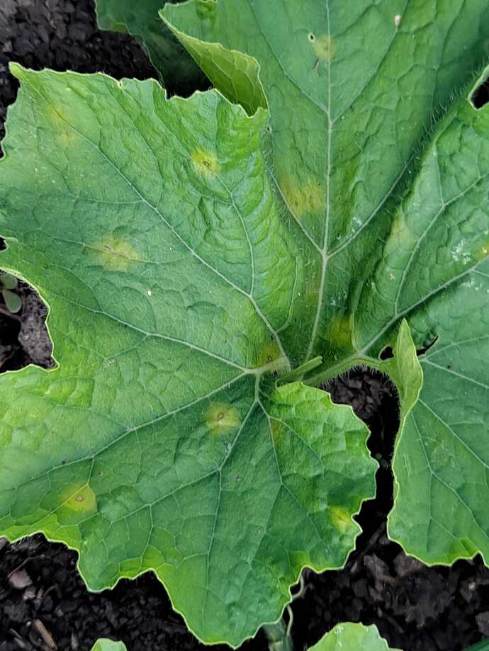 mmexport1691520115830