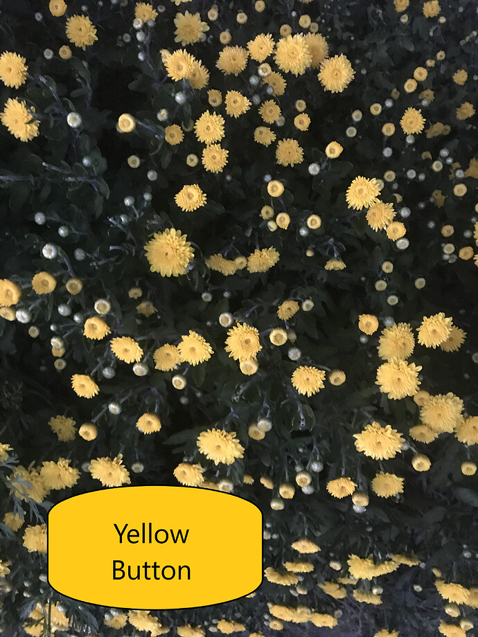Yellow Button 9.23.2021
