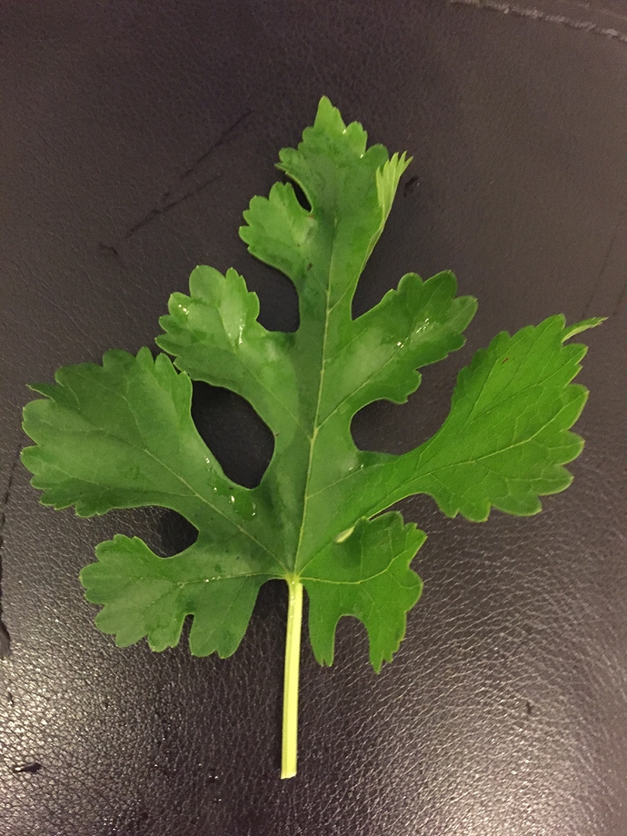 11D07622-77F5-47FE-AFD0-93D40B8B1D55