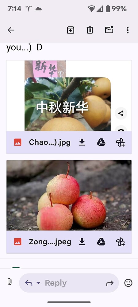 0e65e282cf5277221b7d19814c19e20b00b5fce6_2_900x2000