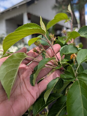 PXL_20250515_204705724