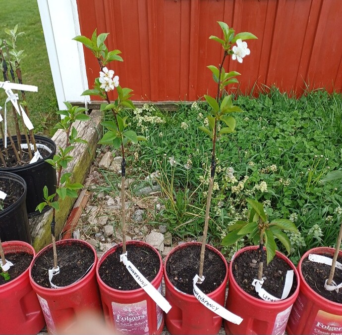 Screenshot_20250424_100826_Gallery