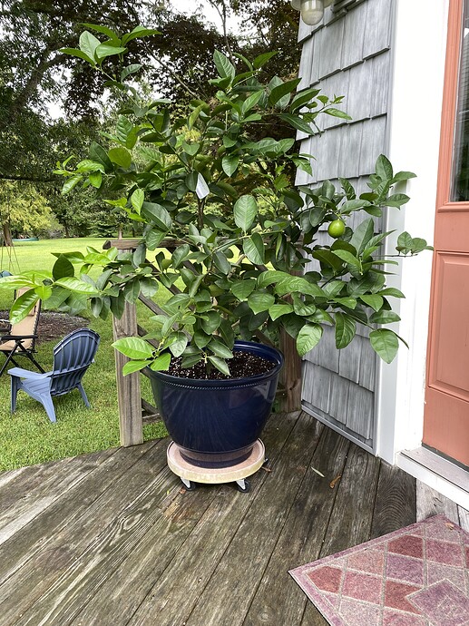 64986159342__C60511C2-5F65-46E5-8EED-37D24D03D082