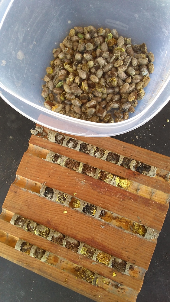 IMG_20180219_135430846